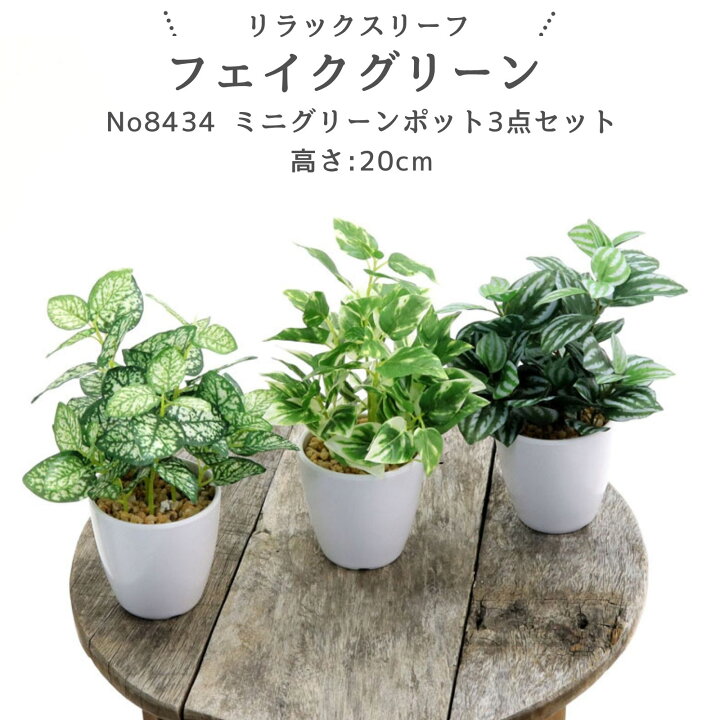 楽天市場】フェイクグリーン 観葉植物 3点セット ヒポエステス ポトス 