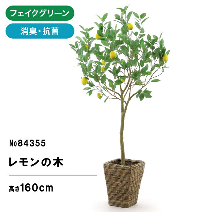 楽天市場】No8435 プレミアム光触媒フェイクグリーン 「レモンの木 高 