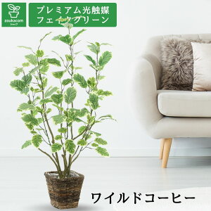 No8437limited v~AG}tFCNO[ uCh R[q[ij 100cm 50cm s50cmioii[toXPbgKG75tjvyMtgszyJo[͎OzG} 