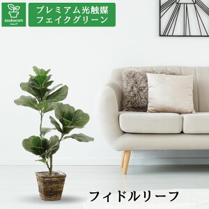 No8440 v~AG}tFCNO[ yOlOlȂzuFIDDLE LEAF FIG tBh[t tBOiJVoSmLj 84cm 45cm s55cmvioii[toXPbgKG75tj
