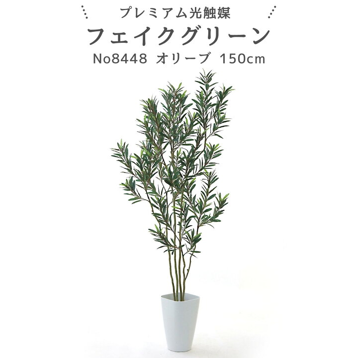 楽天市場】フェイクグリーン オリーブ 150cm 光触媒 観葉植物 造花 