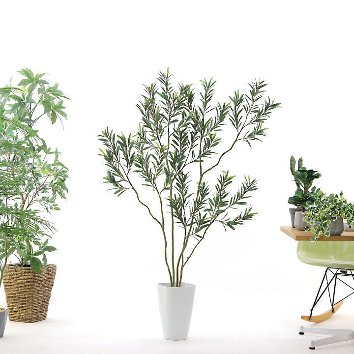 楽天市場】フェイクグリーン オリーブ 150cm 光触媒 観葉植物 造花 