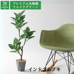 No8466 v~AG}tFCNO[ ut × X^CbVForma|bgdlbChSmLitBJXEGXeBJjb88cm × 36cm × s35cmviForma|bgtj