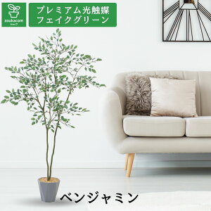 No8467 �v���~�A�����G�}�t�F�C�N�O���[���u�������̂���t × �X�^�C���b�V����Forma�|�b�g�d�l ��Ԃɂ₳�����ʂ� �x���W���~�� �X�^�[���C�g ����120cm ��75cm ���s65cm�v�iForma�|�b�g�t�j�y�M