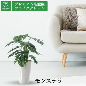 No92451 プレミアム光触媒フェイクグリーン 「モンステラ 葉12枚 高さ50cm 幅45cm 奥行40cm（白丸ポットとヤシの繊維付）完成品」 【ギフト不可】【鉢カバーは取り外し可】光触媒 フェイクグリーン 造花 人工 観葉植物 室内 消臭 リビング オフィス 寝室