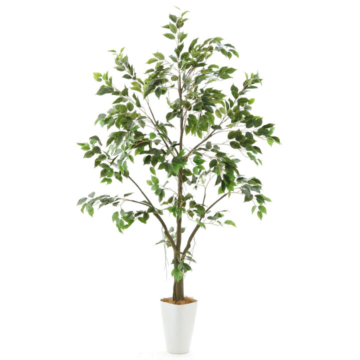 新着商品】100CM 造花 観葉樹 ツピダンサス 光触媒 フェイクグリーン 