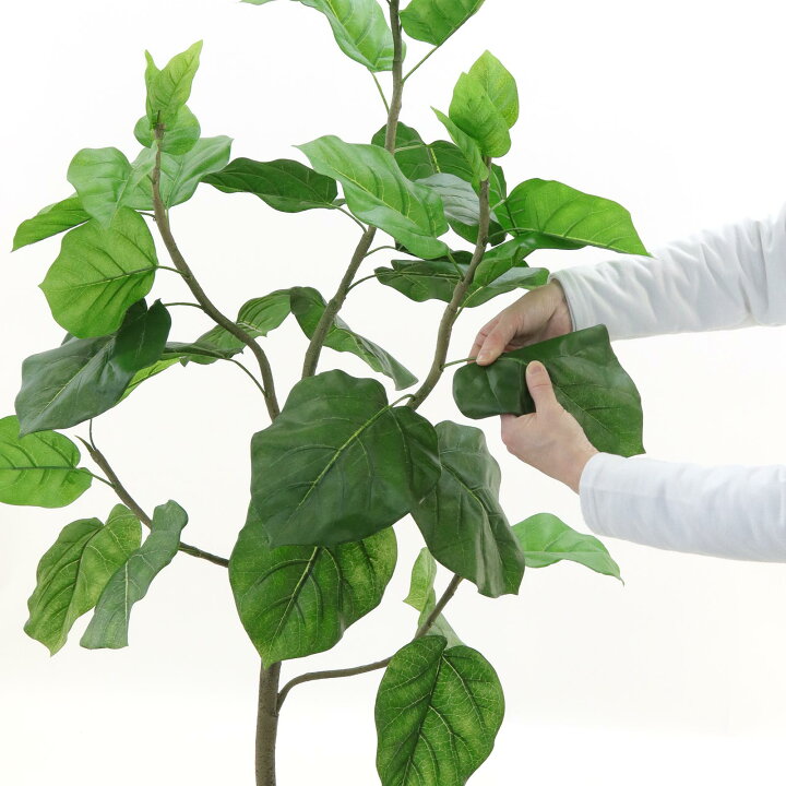 楽天市場】フェイクグリーン ウンベラータ 150cm 光触媒 観葉植物 造花 