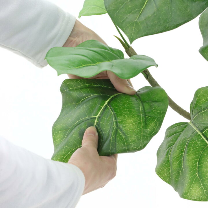 楽天市場】フェイクグリーン ウンベラータ 150cm 光触媒 観葉植物 造花