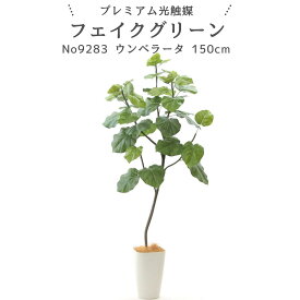 フェイクグリーン ウンベラータ 150cm 光触媒 観葉植物 造花 リアル 室内 リビング 玄関 インテリア おしゃれ 人工観葉植物 消臭 抗菌 プレミアム光触媒フェイクグリーン No9283 フィカス・ウンベラータ ｜スマートポット付｜ヤシの繊維付
