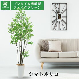 No9328 プレミアム光触媒フェイクグリーン 「シマトネリコ 高さ160cm 幅60cm 奥行60cm（スマートポットとヤシの繊維付）」 【ギフト不可】【鉢カバーは取り外し可】光触媒 フェイクグリーン 造花 人工 観葉植物 フェイク 室内 消臭