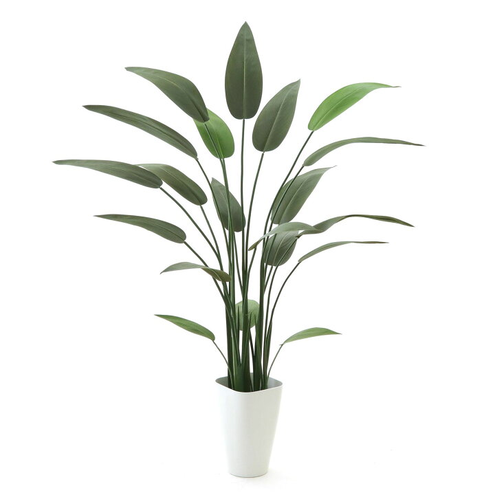 楽天市場】No9356 プレミアム光触媒フェイクグリーン「ストレリチア  