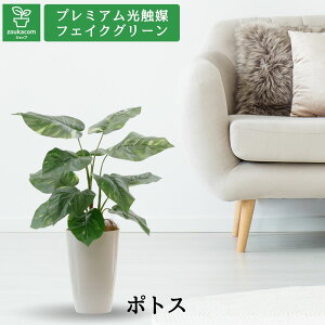 No93691 v~AG}tFCNO[ u|gX t12 60cm 50cm s45cmiۃ|bgƃV̑@ەtjivyMtgszy̎OsztFCNO[ ϗtA l