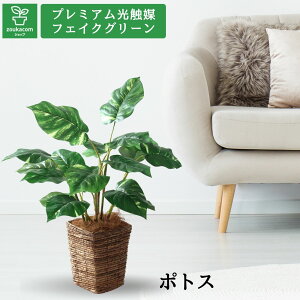 No9372N5 v~AG}tFCNO[ ŷ܂܏ `fUCz u[݂̂Z × Ȃ₩ȗt̗b|gXb72cm × 68cm × s64cmvyŒzyMtgsz