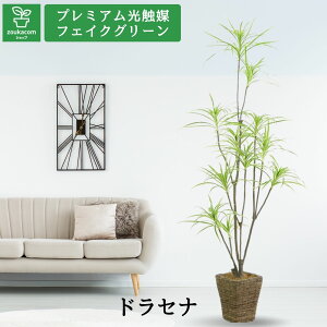 No9377 v~AG}tFCNO[ uhZiERVlES[hO[ 11} 215cm 100cm s90cmioii[toXPbg5SREƃV̑@ەtvyMtgszyJo