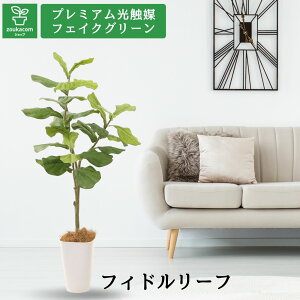 No9381 �v���~�A�����G�}�t�F�C�N�O���[�� �y�����O�l�O�l�Ȃ�����z�uFIDDLE LEAF FIG �t�B�h�����[�t �t�B�O�i�J�V���o�S���m�L�j ����130cm ��55cm ���s60cm�i�X�}�[�g�|�b�g�ƃ��V�̑@�ەt�j