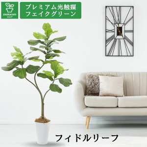 No9382 v~AG}tFCNO[ yOlOlȂzuFIDDLE LEAF FIG tBh[t tBOiJVoSmLj 150cmi 160cmj 85cm s75cmiX}[g|b