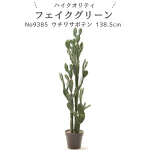 No9385 l̋Ԃɉf A tFCNO[uE`T{eEJN^X GCWOH|bg 138.5cm 38cm s38cmvyMtgsz tFCNO[  lH ϗtA tF