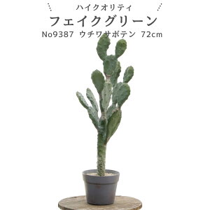 No9387 邾Ŋ A tFCNO[ uE`T{eEJN^X GCWOH|bg 72cm 24cm s20cmvyMtgsz tFCNO[ T{e ϗtA 72cm E