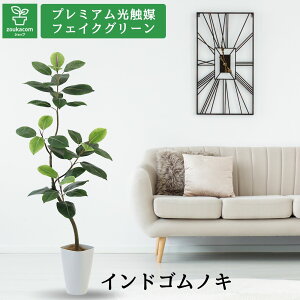 No9422 v~AG}tFCNO[ uzƂ݊AԂɉfO[A[g ChSmL 145cm 65cm s55cmviX}[g|bgƃV̑@ەtjv yMtgszy