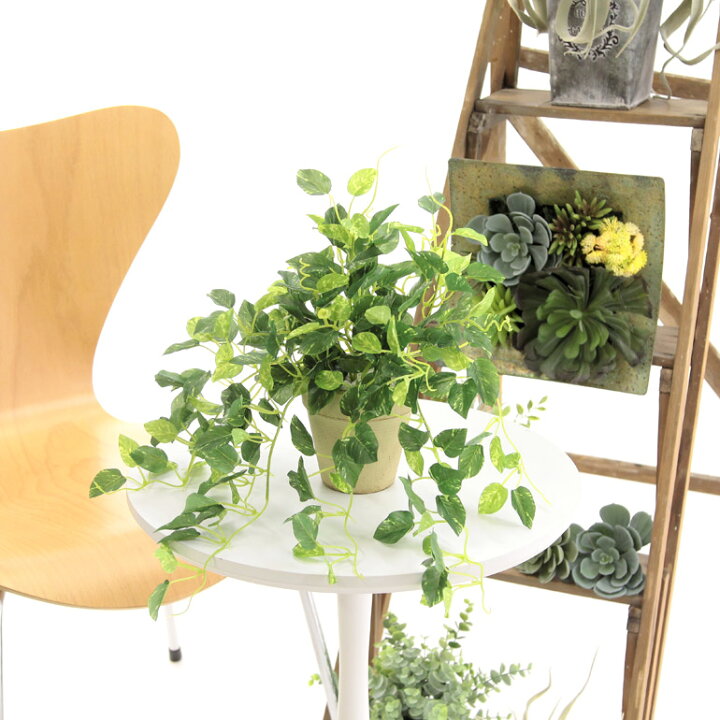 楽天市場 フェイクグリーン 人工 観葉植物 造花 光触媒 鉢 植木 葉 枝 室内 小型 小さめ 鉢 おしゃれ 3点 セット リアル アイビー ポトス プミラ インテリア 人気 空気清浄 人工 玄関 リビング オフィス 部屋 爽やか 緑 シンプル 初心者