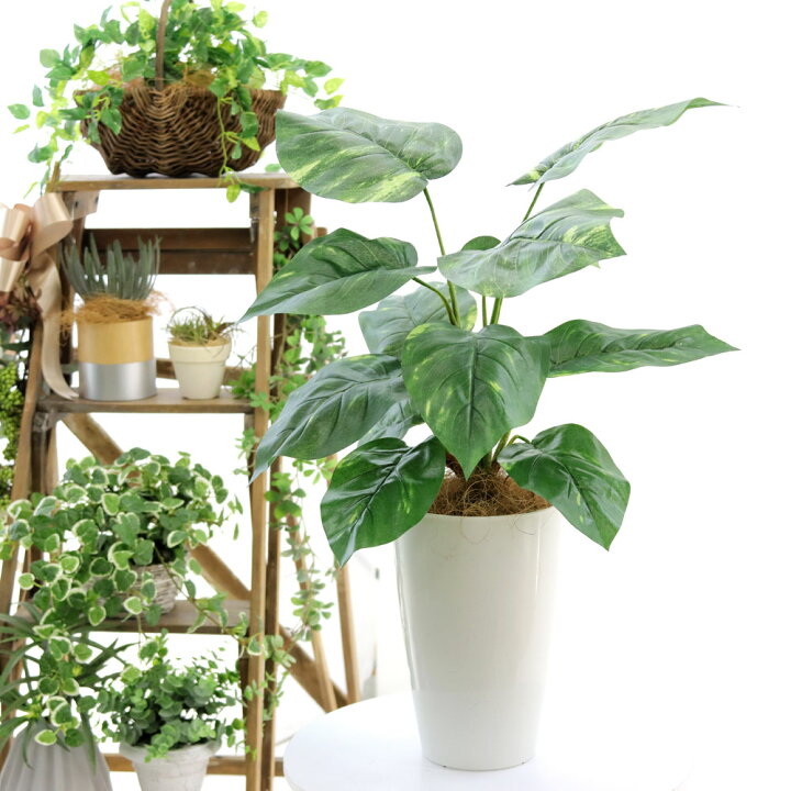 楽天市場 フェイクグリーン 造花 人工観葉植物 ポトス 60 70cm 室内 部屋 風水 消臭 観葉植物 フェイク 人工 大 大型 リビング 玄関 人気 空気清浄 葉 葉っぱ リアル 室内用 初心者 インテリア 空気 植物 大きい 大きめ おしゃれ フィカス グリーン 鉢