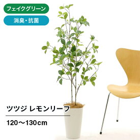 楽天市場 観葉植物 造花の通販