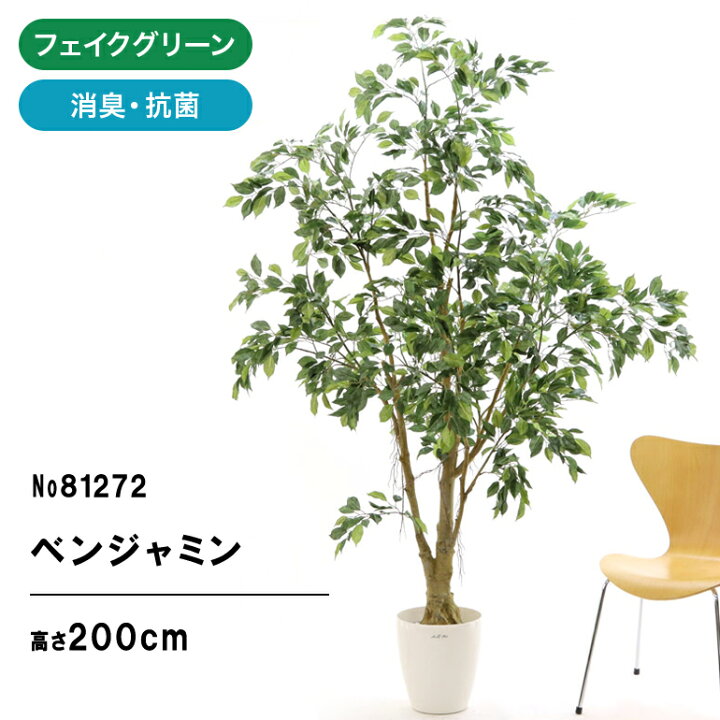 楽天市場】No8127 プレミアム光触媒フェイクグリーン 「ワイルド 