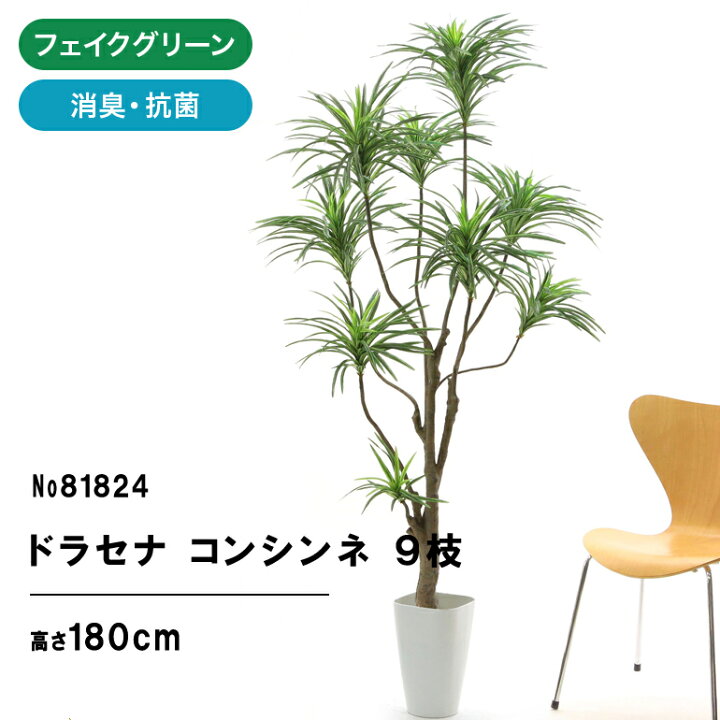 楽天市場】No8182 プレミアム光触媒フェイクグリーン 「枝を自由に曲げ 