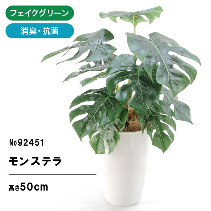楽天市場】No92451 プレミアム光触媒フェイクグリーン 「モンステラ 葉 