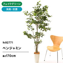 楽天市場】180cm 人工 観葉植物の通販