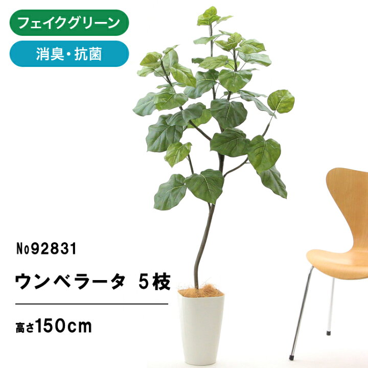 楽天市場】No9283 プレミアム光触媒フェイクグリーン 「【幹をグネグネ 