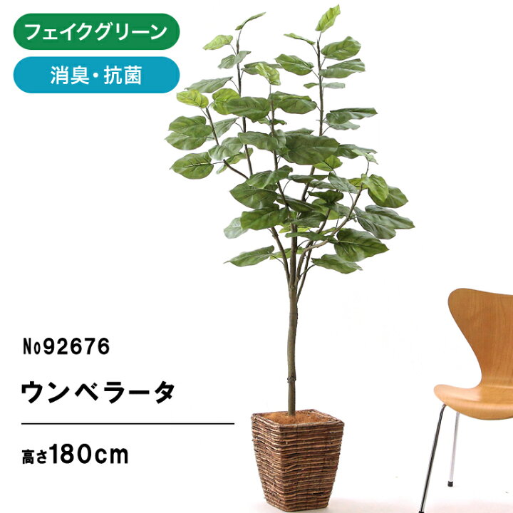 楽天市場】プレミアム光触媒フェイクグリーン 「フィカス  