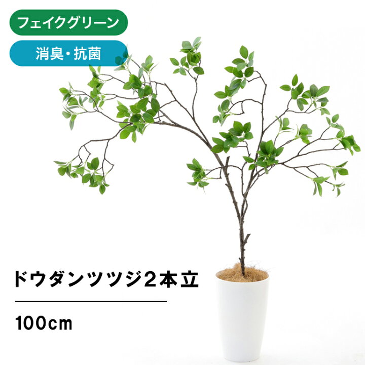 楽天市場 フェイクグリーン 人工 観葉植物 造花 光触媒 つつじ 室内 大型 鉢 木 葉 枝 おしゃれ 造花 リアル インテリア 人気 空気清浄 人工 玄関 リビング オフィス 部屋 爽やか 緑 シンプル 酸化チタン 消臭 観葉樹 ドウダンツツジ 2本立 100cm