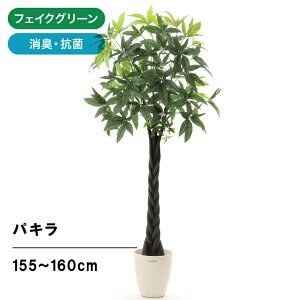 観葉植物 造花 消臭の人気商品 通販 価格比較 価格 Com