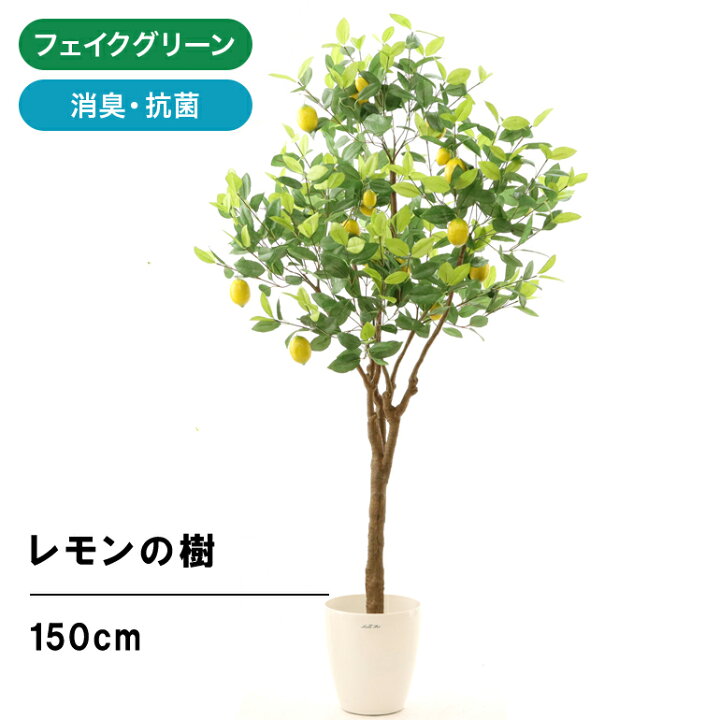 楽天市場 フェイクグリーン 人工 観葉植物 造花 光触媒 擬木 オススメ シンプル オフィス おしゃれ インテリア 大型 室内 鉢 観葉樹 空気清浄 消臭 抗菌 銀 酸化チタン 光触媒 柑橘 かわいらしい 実付 レモンの木 高さ150cm ラスターポット 225 日付指定 ギフト
