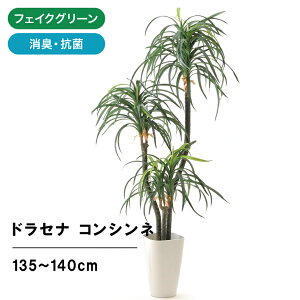 室内 観葉植物 大型 Diy 工具の人気商品 通販 価格比較 価格 Com