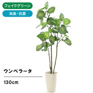 観葉植物 風水玄関の人気商品 通販 価格比較 価格 Com