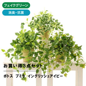楽天市場 垂れ下がる 観葉 植物の通販