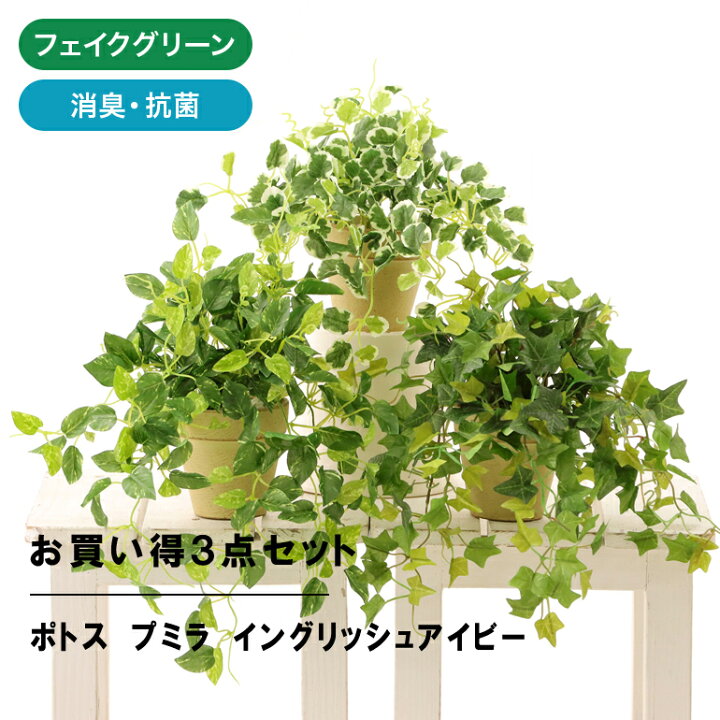 楽天市場 フェイクグリーン 人工 観葉植物 造花 光触媒 鉢 植木 葉 枝 室内 小型 小さめ 鉢 おしゃれ 3点 セット リアル アイビー ポトス プミラ インテリア 人気 空気清浄 人工 玄関 リビング オフィス 部屋 爽やか 緑 シンプル 初心者