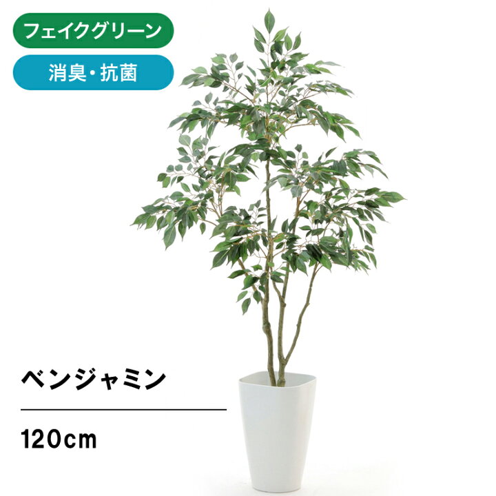 楽天市場 フェイクグリーン 人工 観葉植物 造花 光触媒 観葉樹 植木 偽木 シンプル オフィス おしゃれ インテリア 大型 室内 鉢 空気清浄 消臭 抗菌 銀 酸化チタン 擬木 リアル フィカス ベンジャミン 高さ1cm 幅70cm スマートポット Chic8 日時指定 ギフト