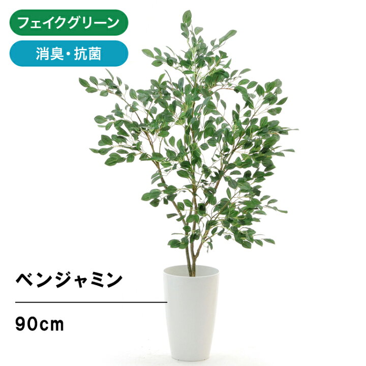 楽天市場 フェイクグリーン 人工観葉植物 観葉植物 フェイク 造花 光触媒 鉢 植木 葉 枝 観葉樹 シンプル オフィス おしゃれ インテリア 大型 室内 鉢 空気清浄 消臭 銀 酸化チタン リアル フィカス べンジャミン 高さ90cm 幅65cm 白丸ポット 日時指定 ギフト不可