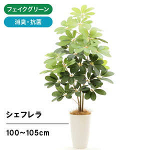 観葉植物 人工観葉植物 カポックの人気商品 通販 価格比較 価格 Com