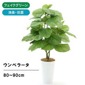 玄関 植木 おしゃれ 農業資材 ガーデニング用品の人気商品 通販 価格比較 価格 Com