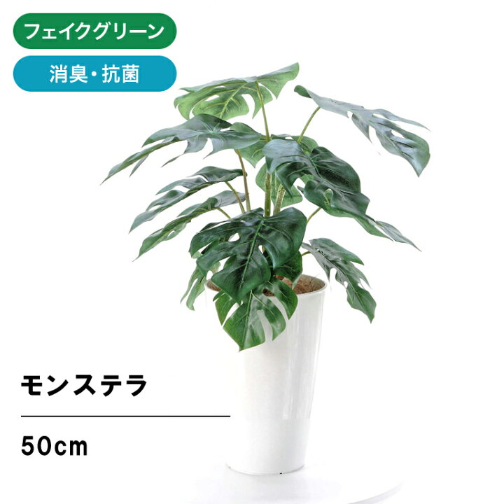 楽天市場 フェイクグリーン 造花 人工観葉植物 モンステラ 50cm 室内 部屋 風水 消臭 観葉植物 フェイク 人工 小さめ リビング 玄関 人気 空気清浄 葉 葉っぱ リアル 室内用 初心者 人気 インテリア 空気 植物 小さい おしゃれ グリーン 鉢 植木鉢 光触媒