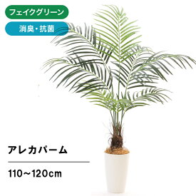 楽天市場 人工観葉植物 種類 植物 ヤシ 種類 触媒加工 光触媒 造花 人工観葉植物 花 観葉植物 花 ガーデン Diyの通販