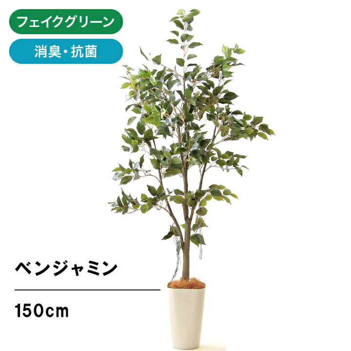 楽天市場 フェイクグリーン 造花 人工 光触媒 観葉 植物 150cm 樹 木 大型 リアル 空気清浄 インテリア おしゃれ 玄関 室内 トイレ 部屋 消臭 抗菌 虫除け 大きい ベランダ プレゼント 鉢 銀 酸化チタン フィカス ベンジャミン 150cm スマートポット Chic8