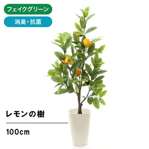 レモン 造花 観葉植物の人気商品 通販 価格比較 価格 Com