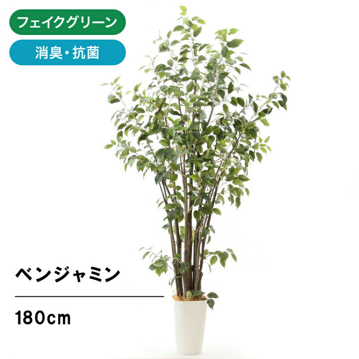 楽天市場 フェイクグリーン 人工 造花 光触媒 観葉 植物 木 樹 180cm シンプル オフィス おしゃれ インテリア 大型 室内 鉢 観葉樹 空気清浄 消臭 抗菌 銀 酸化チタン ワイルド フィカス ベンジャミン 180cm スマートポット Chic8 ヤシの繊維 日付指定 ギフト