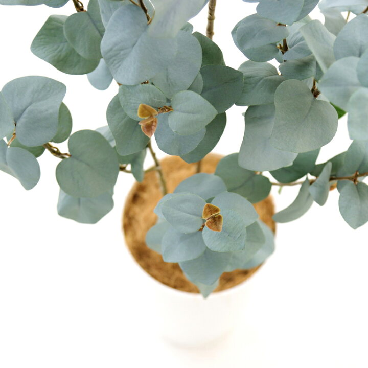 楽天市場 フェイクグリーン 造花 人工観葉植物 ユーカリ シルバーリーフ 1cm 3本立 室内 部屋 風水 消臭 観葉植物 フェイク 人工 大 大型 リビング 玄関 人気 空気清浄 葉 葉っぱ リアル 室内用 インテリア 空気 植物 大きめ おしゃれ フィカス グリーン 鉢