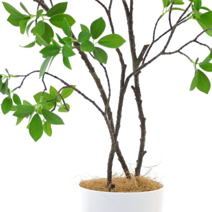 楽天市場 フェイクグリーン 人工 観葉植物 造花 光触媒 フェイク 室内 大型 鉢 木 おしゃれ 造花 リアル インテリア 人気 空気清浄 人工 玄関 リビング オフィス 部屋 爽やか 緑 オススメ シンプル 酸化チタン 消臭 観葉樹 ドウダンツツジ 3本立 100cm No